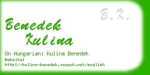 benedek kulina business card